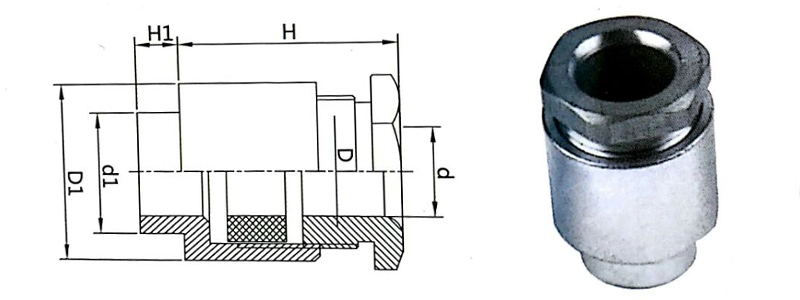 sunbet(中国区)官方网站