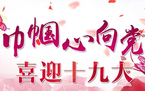  涨知识！咋从8900万党员中选出2300名十九大代表？