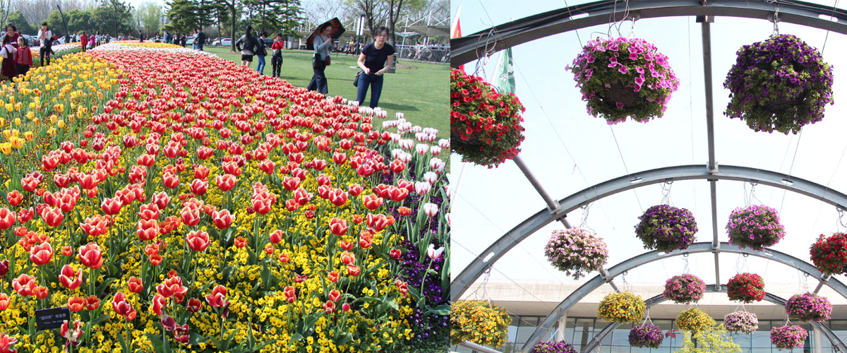 sunbet(中国区)官方网站