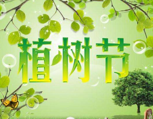 植树节：人与树之间的生命史诗