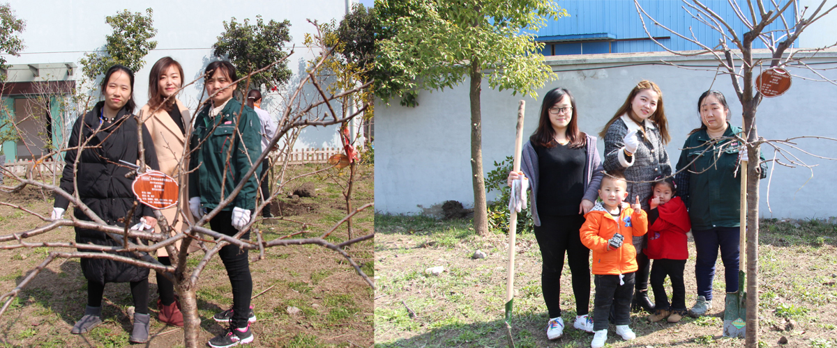 sunbet(中国区)官方网站