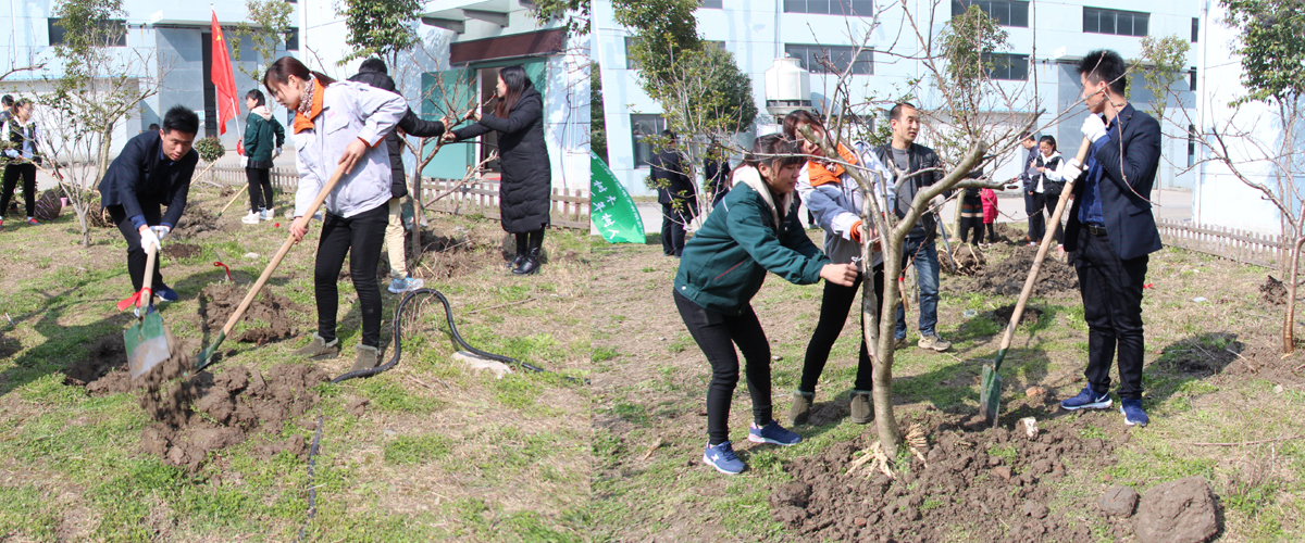 sunbet(中国区)官方网站